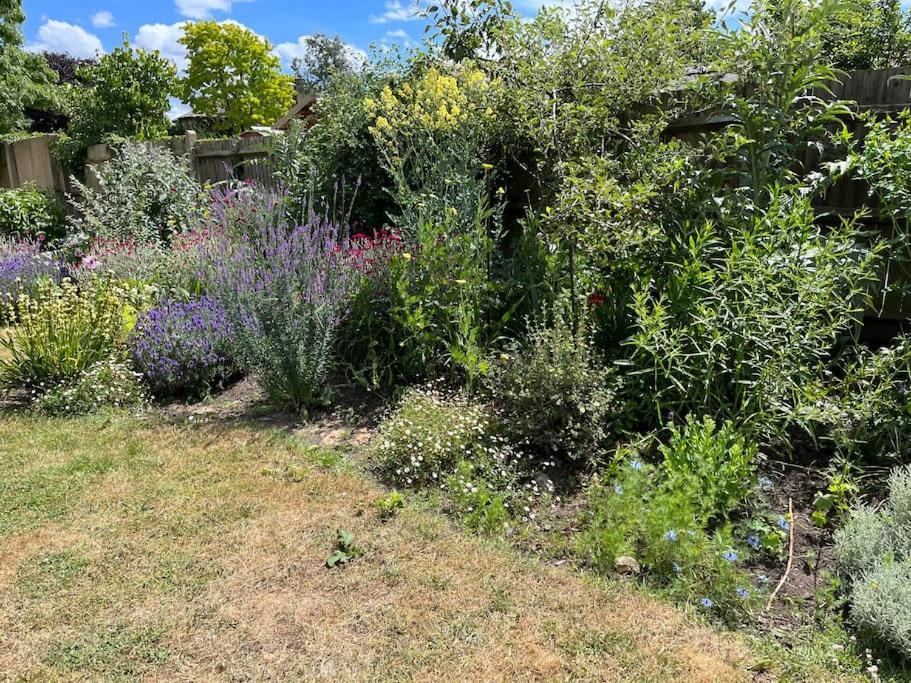 2 Bed Flat - Sw London With Parking Apartment